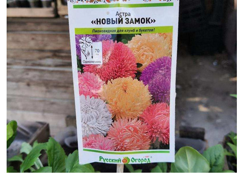 Время украшать сад и огород: крепкая рассада для отличного урожая!