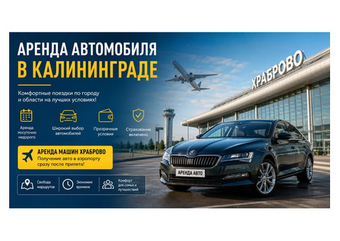 Машина на прокат Калининград: что учитывать при выборе авто