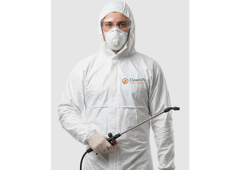 Избавим от тараканов в квартире — CleanON СЭС