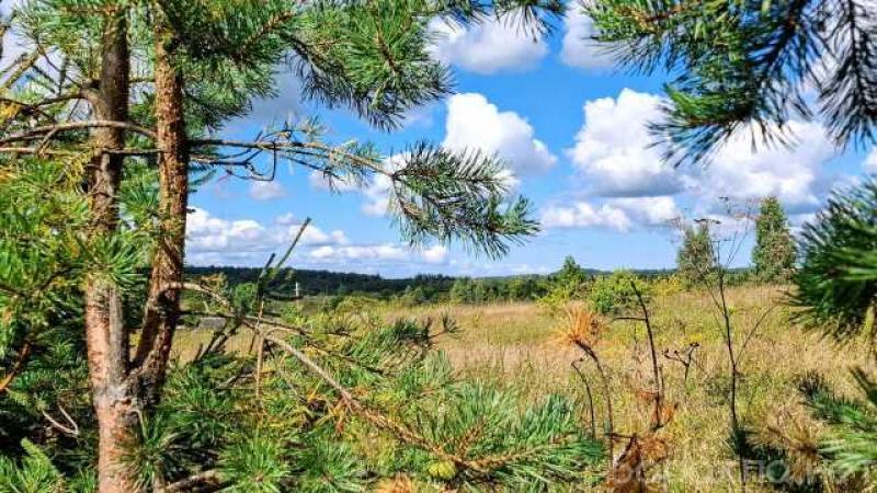 Продам: домик под старым Изборском