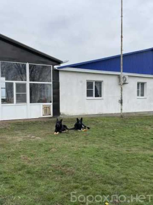 Продам: базу в Батайске
