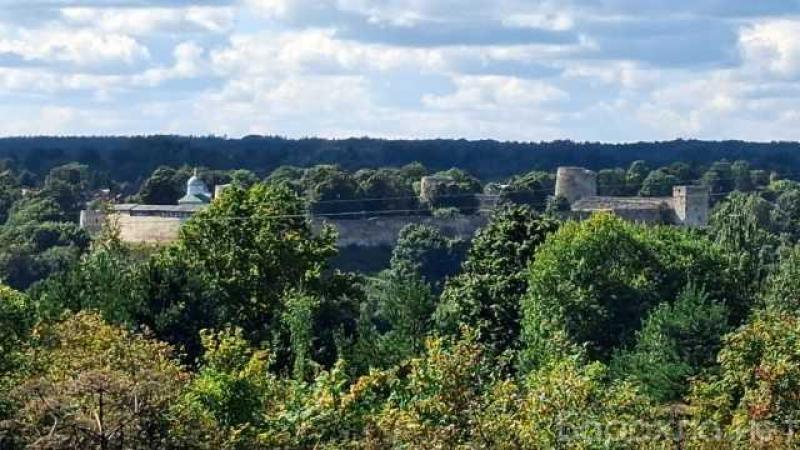 Продам: участок с домиком под Старым Изборском