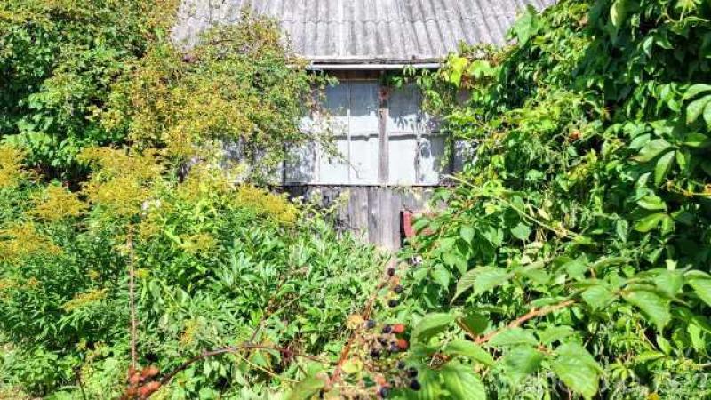 Продам: участок с домиком под Старым Изборском