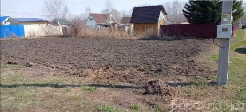 Продам: садовый участок в Бердске
